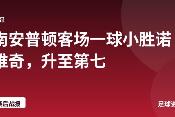 南安普顿客场一球小胜诺维奇，升至第七