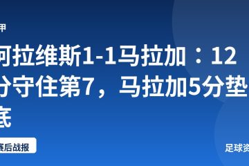 阿拉维斯1-1马拉加：12分守住第7，马拉加5分垫底
