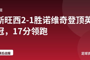 斯旺西2-1胜诺维奇登顶英冠，17分领跑